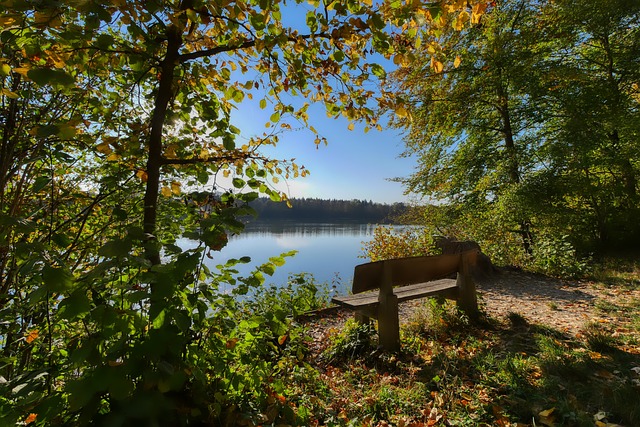 安切洛蒂更 安切洛蒂更