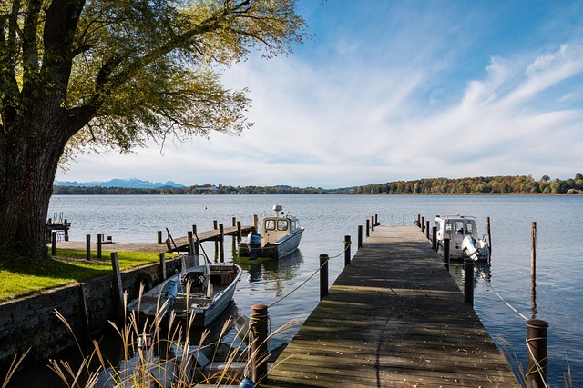 化身篮板机 化身篮板机