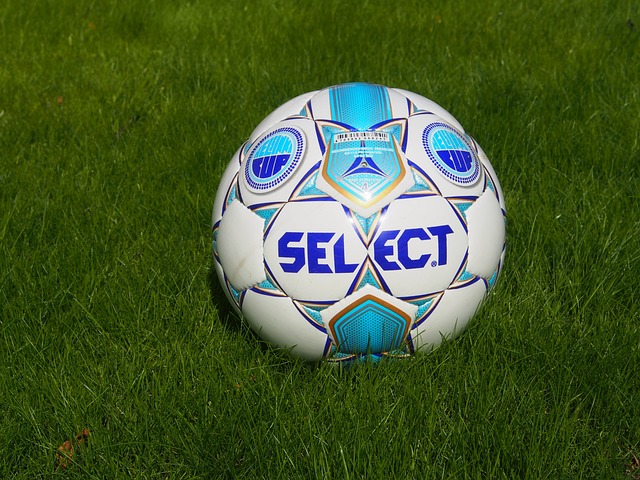 球迷对夏季 球迷对夏季