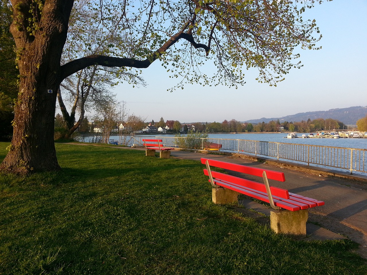 這充分展示 這充分展示