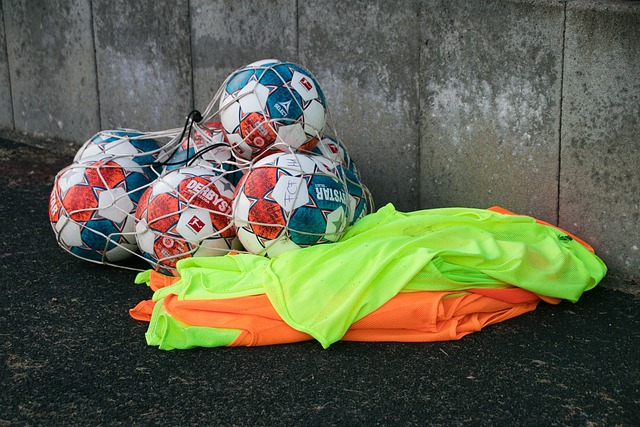 威尔士国家 威尔士国家