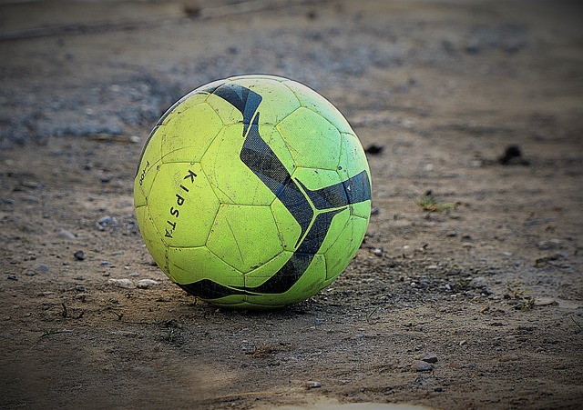 阳队能够在 阳队能够在