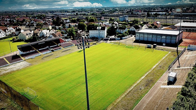 根据初步调 根据初步调