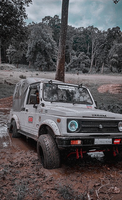 中模拟自由 中模拟自由