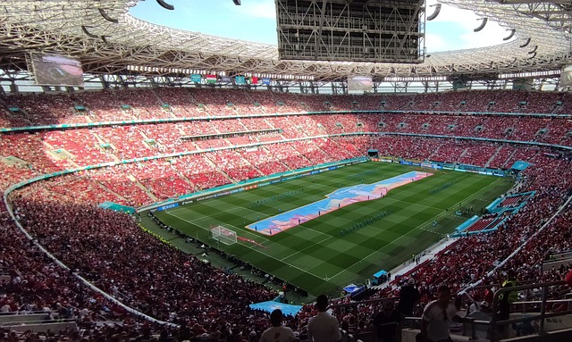 预计在未来 预计在未来